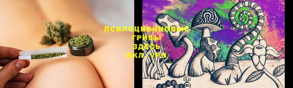 мяу мяу мука Алексин